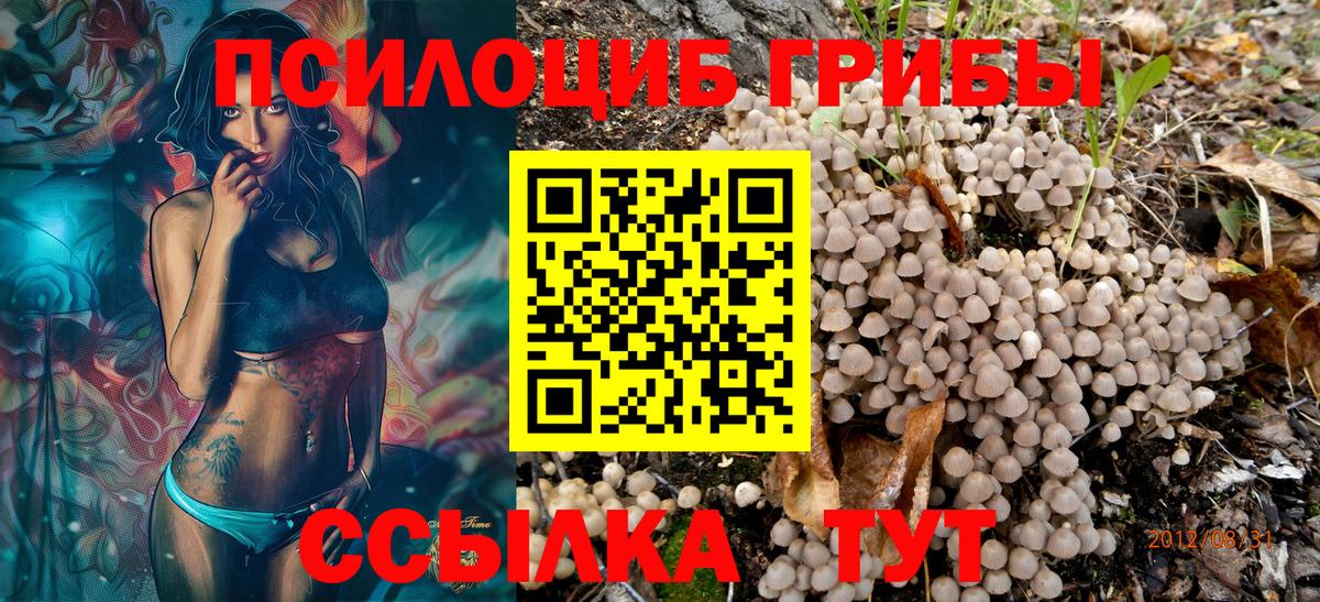 Псилоцибиновые грибы прущие грибы Борисоглебск